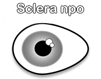 Sclera NPO